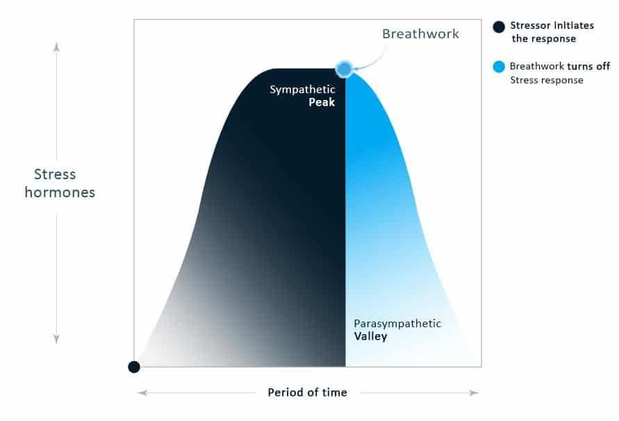 Discharge the stress response