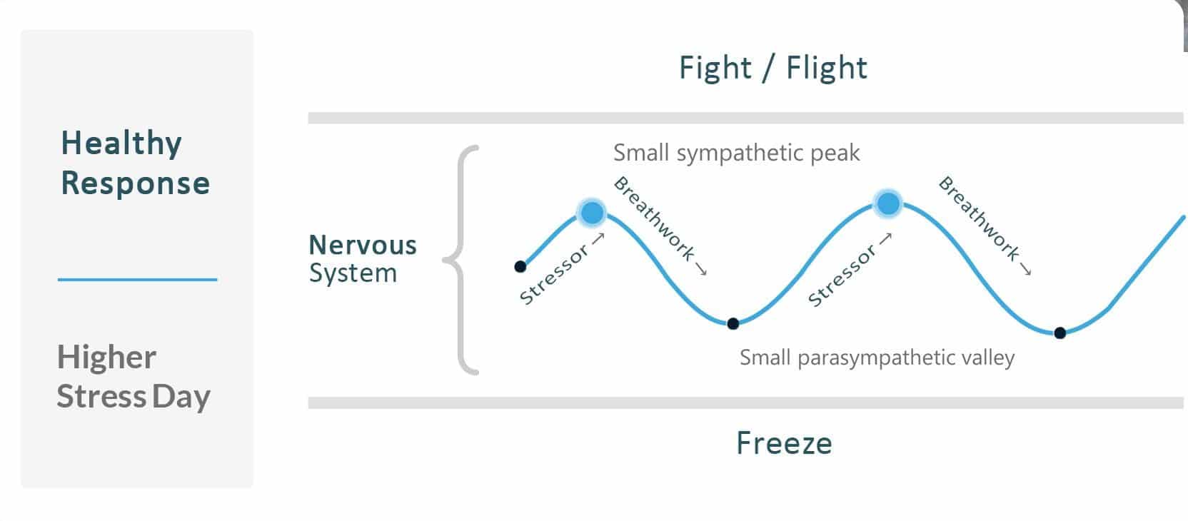 Balanced Breathwork practice.