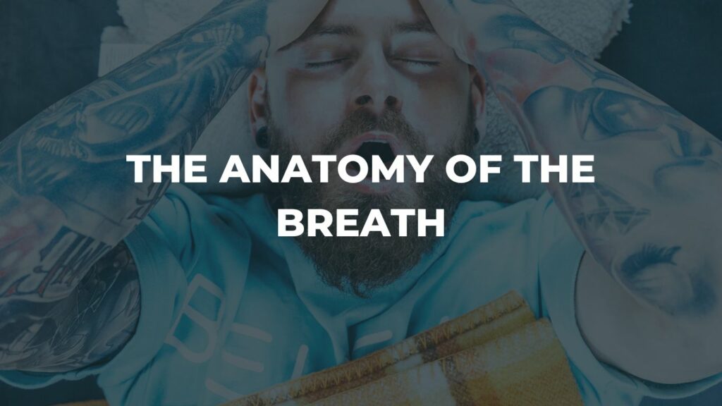 Anatomy of the Breath 