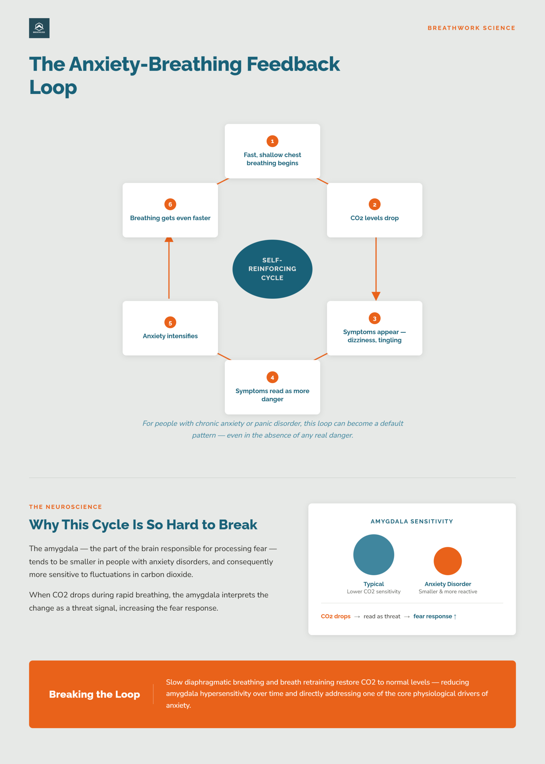 Breathing anxiety feedback loop