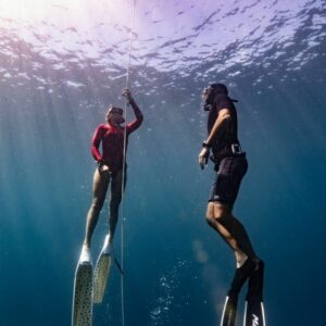 Additional Padi Certification Freediving