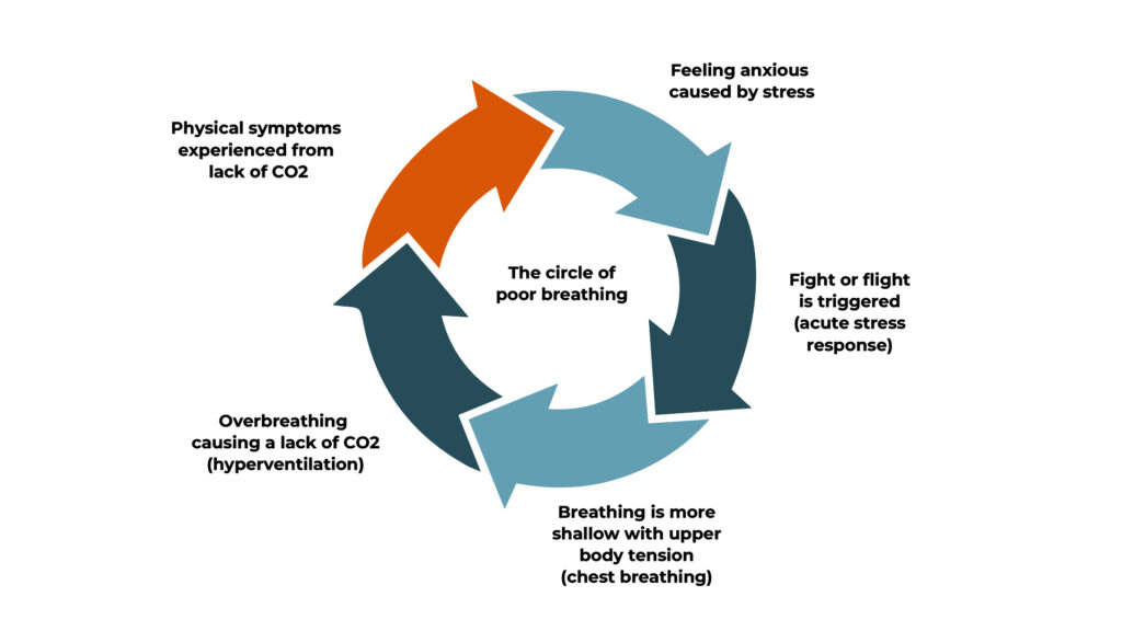 A diagram of a cycle of poor breathing and how it affects your body.